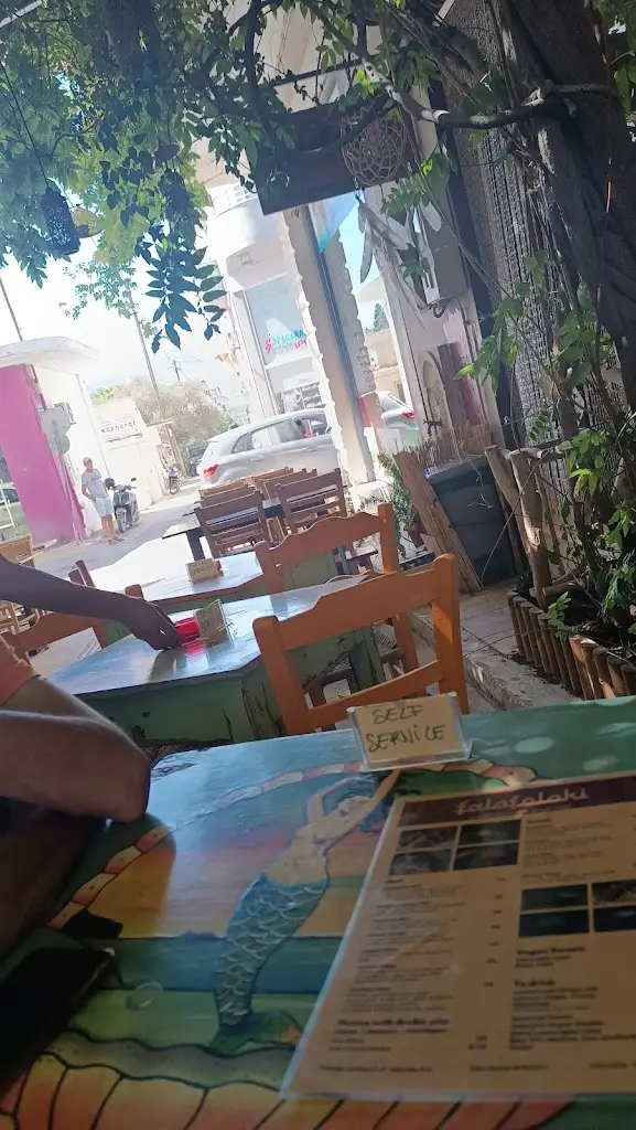 Shanti_Falafelaki_Moíres_avis