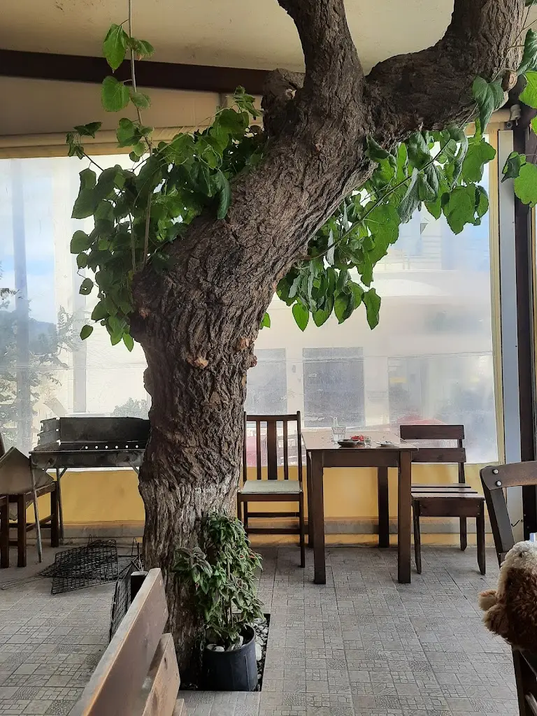 Καφενεῖον Τό Παραδοσιακόν_Neápoli_slider_image_1