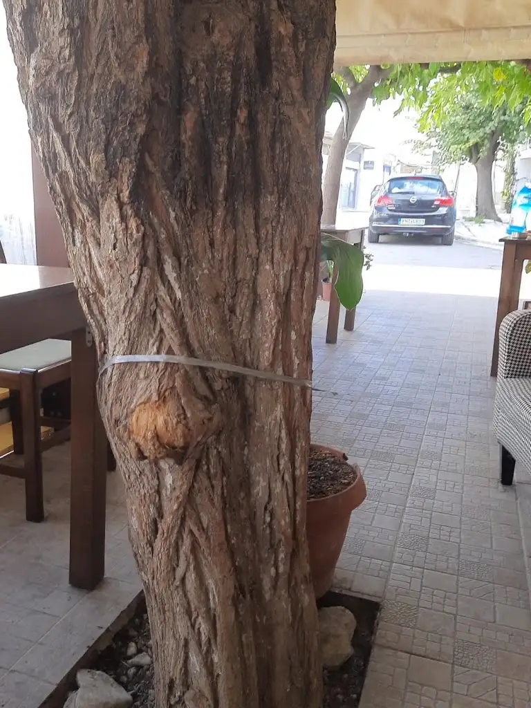 Καφενεῖον Τό Παραδοσιακόν_Neápoli_slider_image_2