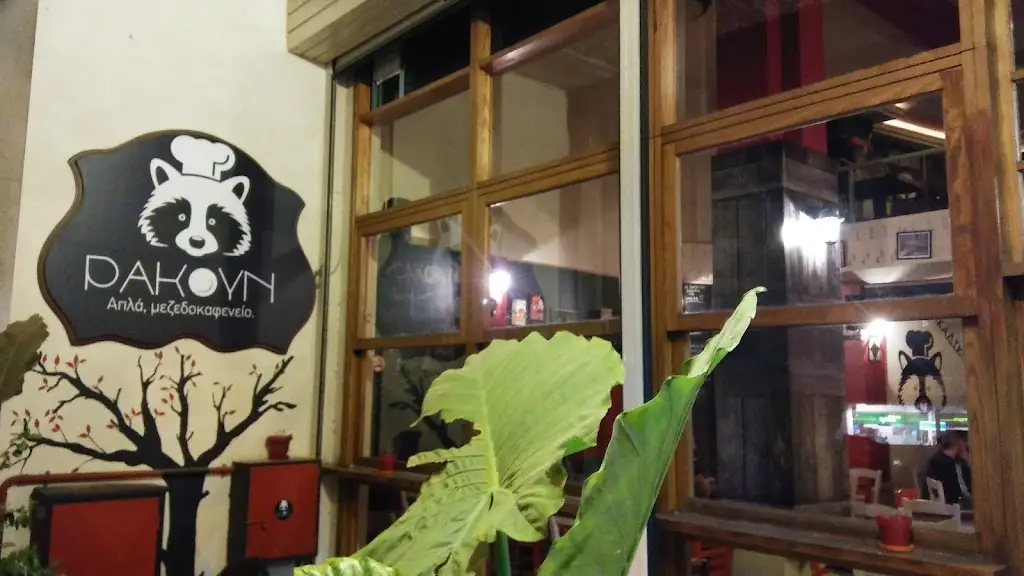 Racoon_Neápoli_slider_image_1