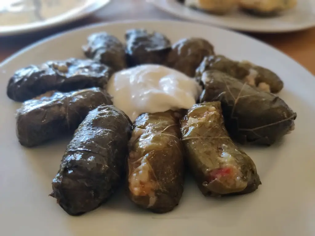 Patrik Pettersson_ELENA 