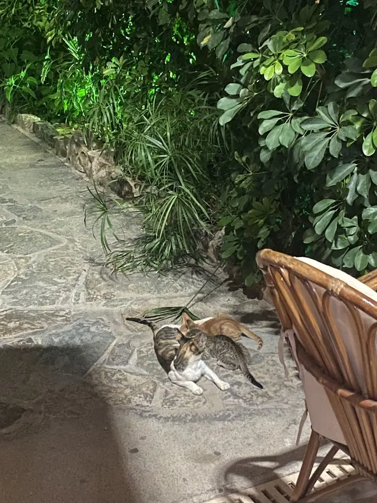 Alexander Kurze_Knossos Restaurant and Rooms_Palekastro_review