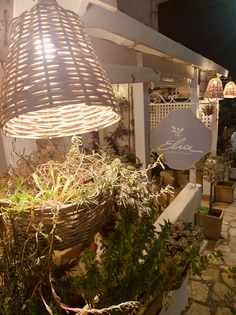 Kate Saunders_Elia Restaurant_Palekastro_reseña