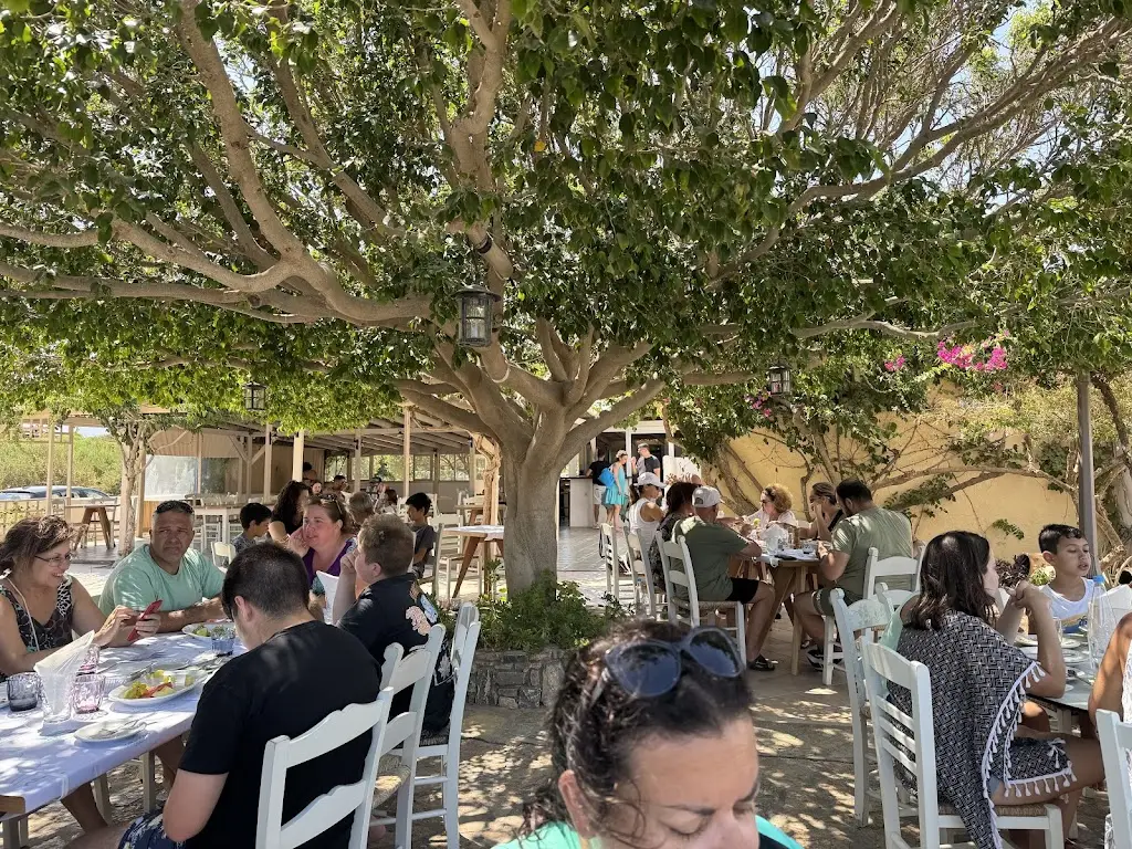 Nick Semertzides_Grandes Seaside restaurant_Palekastro_Bewertung