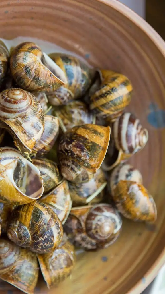 Menu_Kastro Cretan Cuisine_Pánormos_image_5