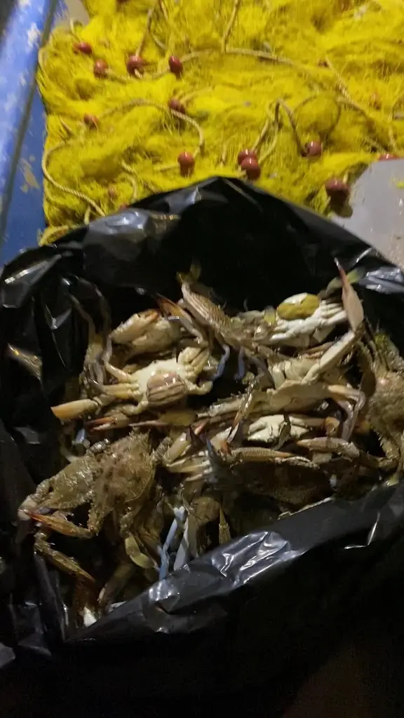 Nikos Fish Tavern_Schísma Eloúndas_slider_image_2