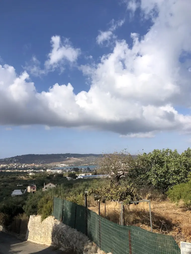 Ταβέρνα Το Κουνέλι_Tsikalariá_slider_image_3