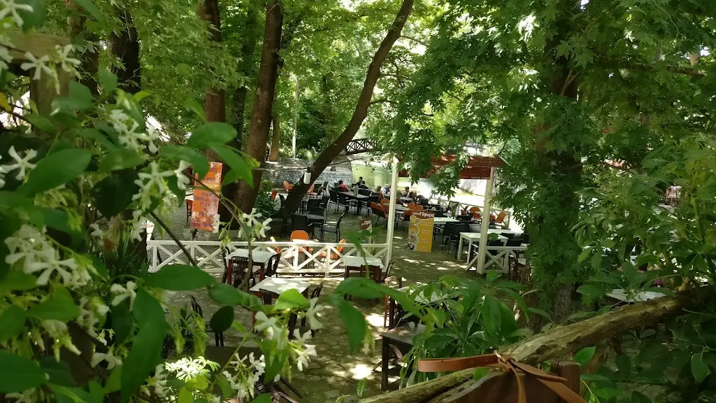 Nick Likakis_Platia Vrison_Vrýses_review