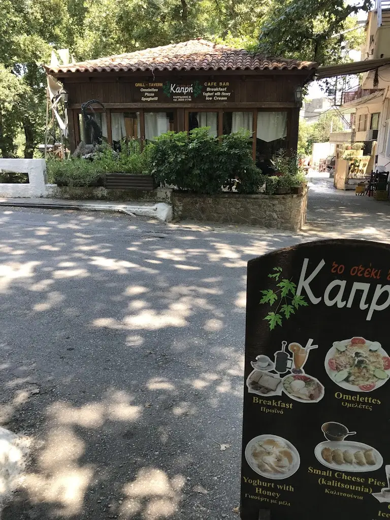 Menü_To Steki Tou Kapri_Vrýses_Bild_2