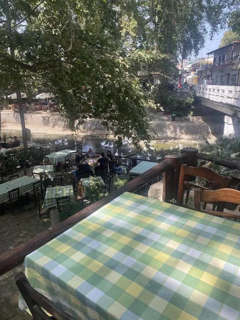 Valerie Paliwal Milovic_To Steki Tou Kapri_Vrýses_Bewertung