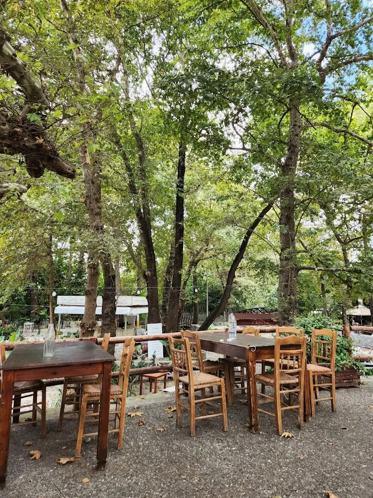 To Steki Tou Kapri_Vrýses_slider_image_1