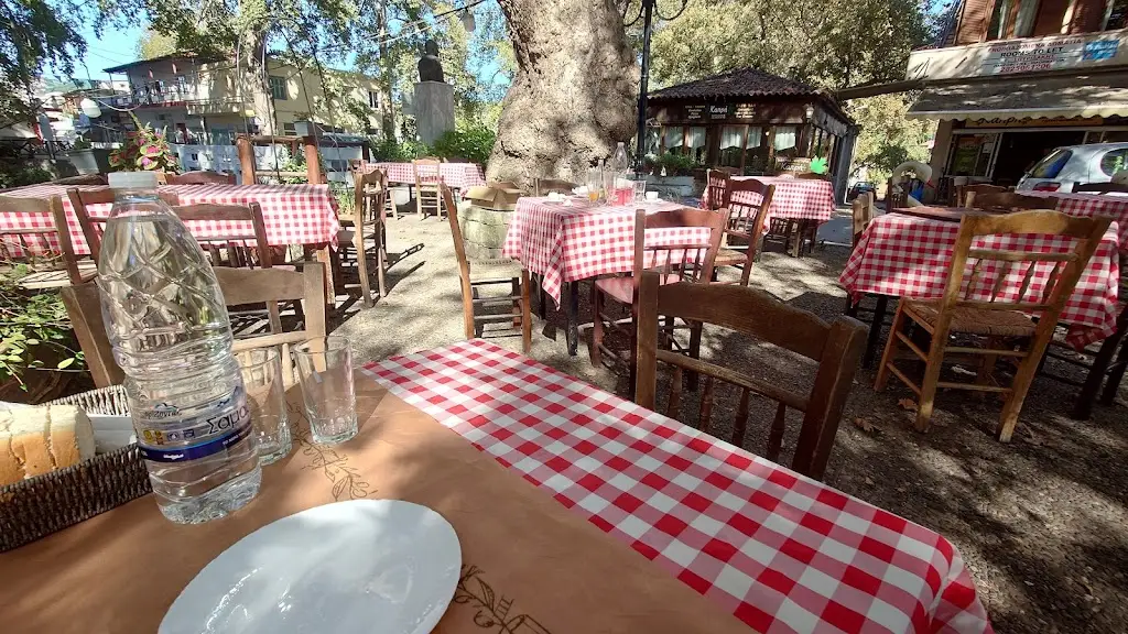 To Steki Tou Kapri_Vrýses_slider_image_3