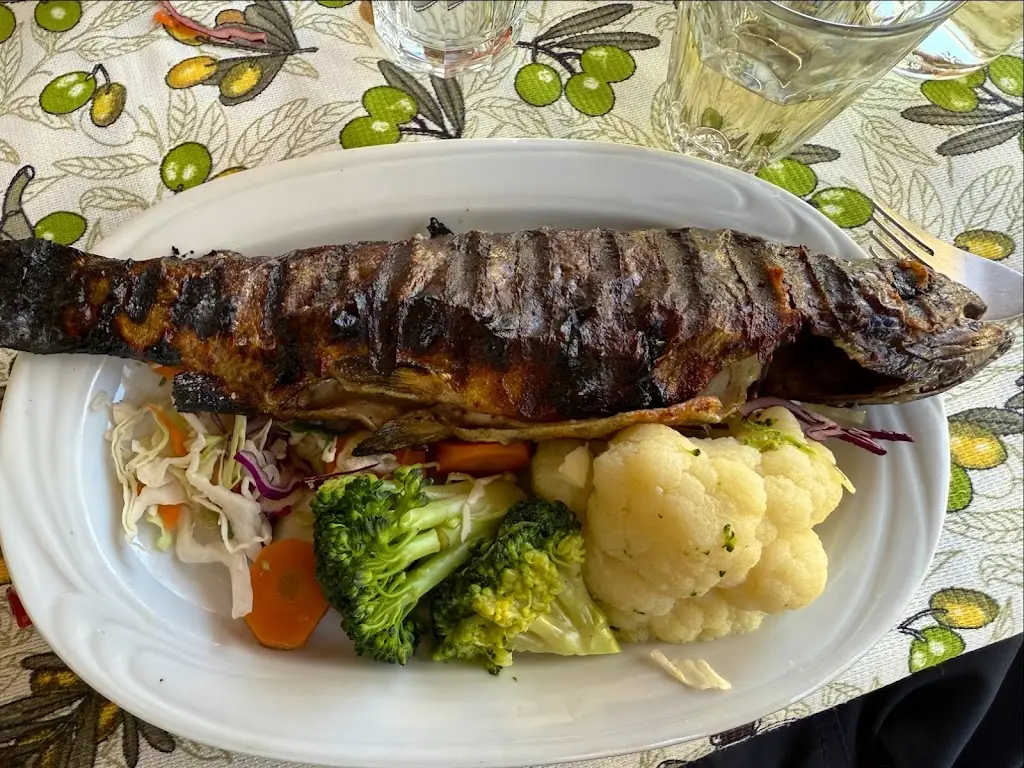 M G_Vegera_Zarós_reseña