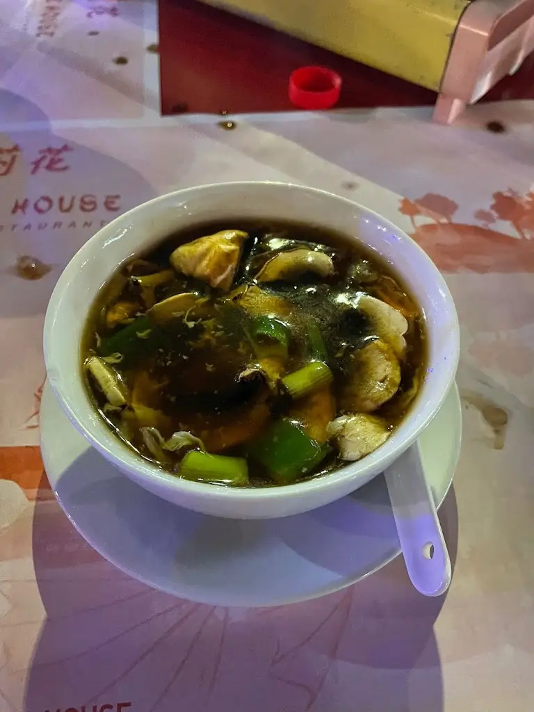 Menü_Jasmine House_Stalís_Bild_7