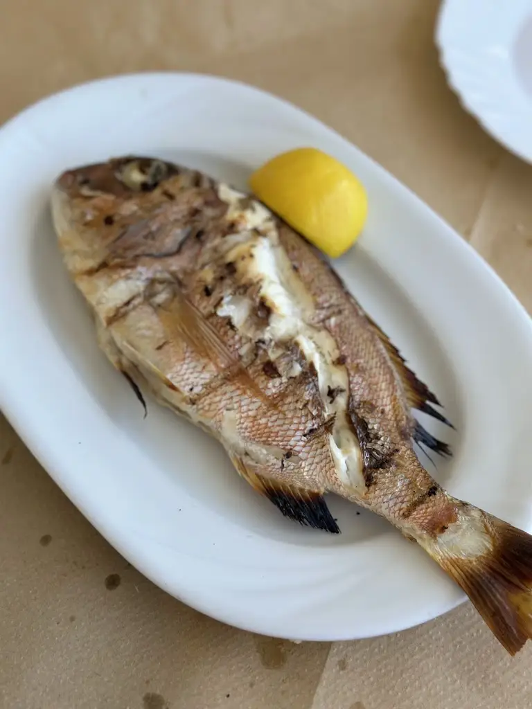 Menü_Artemōnas_Agios Efstratios_Bild_3