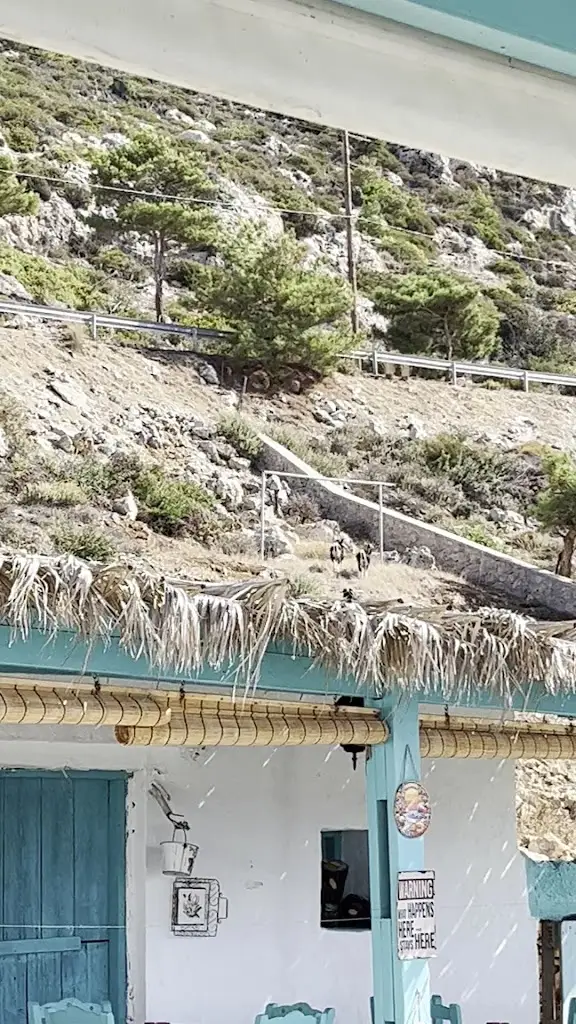 Stephanie S_Stefana Cafe & Restaurant_Chrysochóri_Bewertung