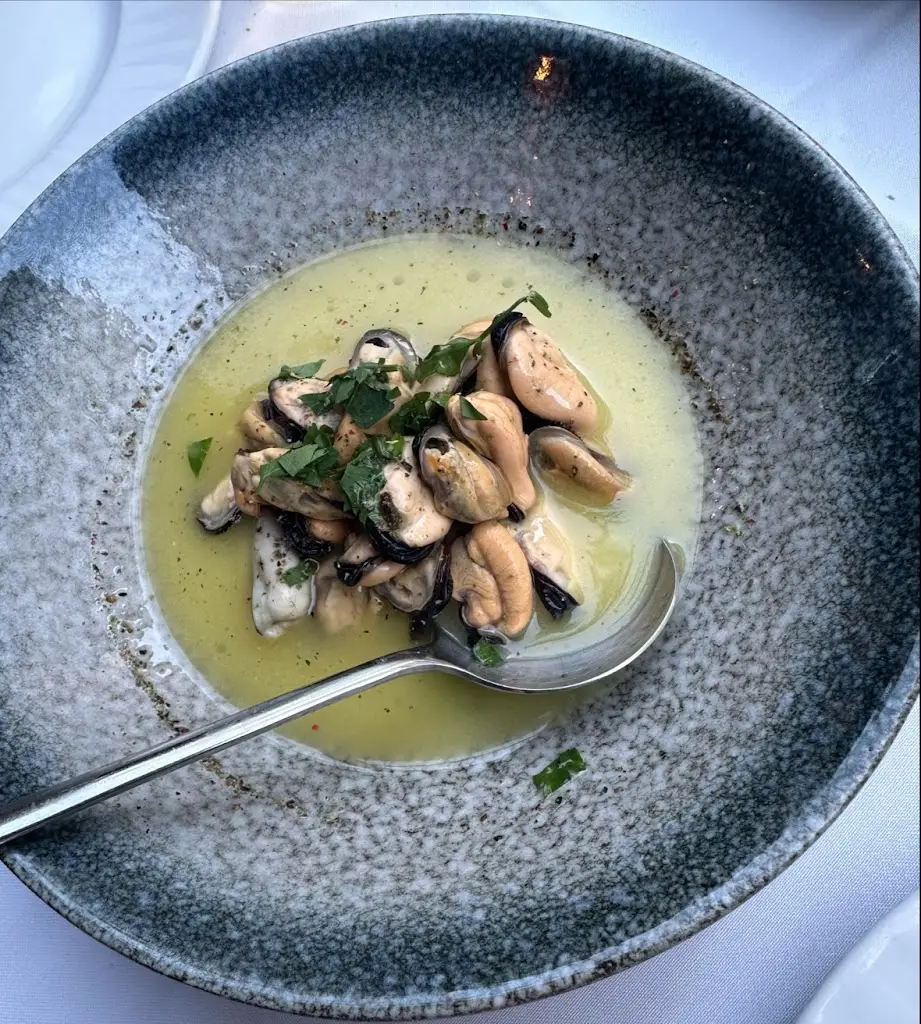 Damla Altıntaş_Nisiotiko_Alexandroupoli_Bewertung