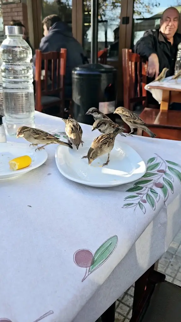 Saríkas_Alexandroupoli_slider_image_2