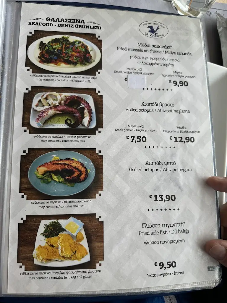 Menü_The Dolphins_Chios_Bild_2