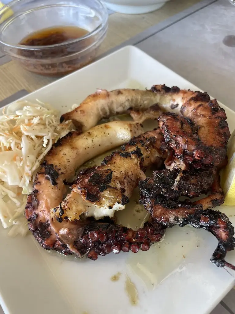 Debra Ann Schneider_The Dolphins_Chios_Bewertung