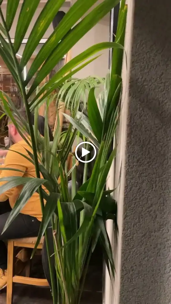 AVENUE kitchen bar_Eleftherés_slider_image_2