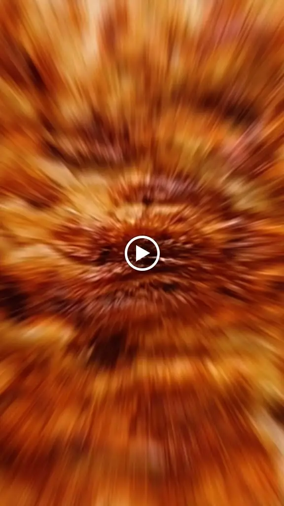 ΓΥΡΟΥ ΜΕΛΑΘΡΟΝ_Chrysoúpolis_slider_image_2