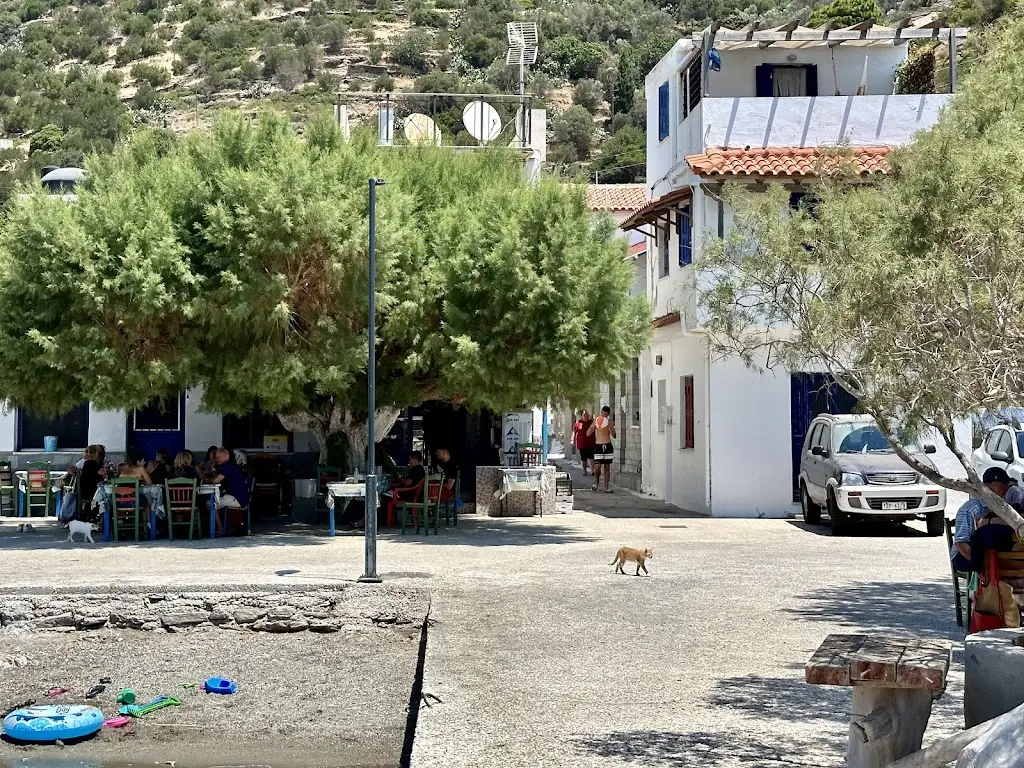 Nataša Jeraj Kampuš_ΨΑΡΟΤΑΒΕΡΝΑ 