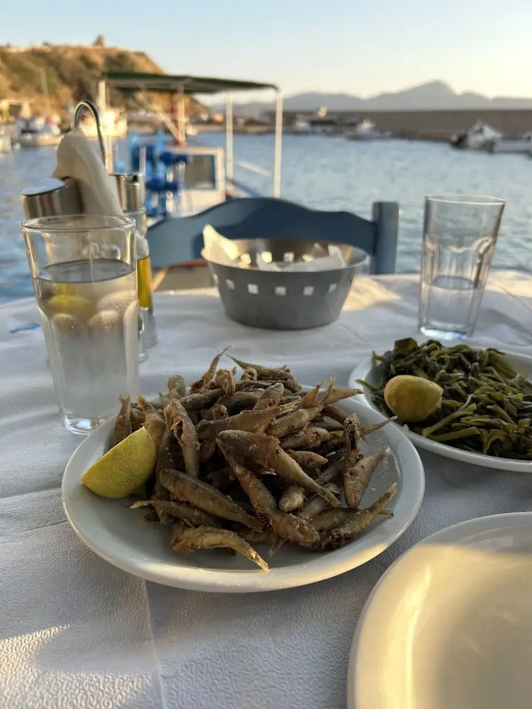 ΨΑΡΟΤΑΒΕΡΝΑ 