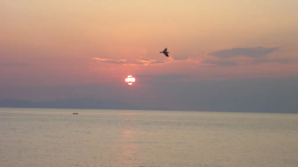 Romi Draghici _Canteen 