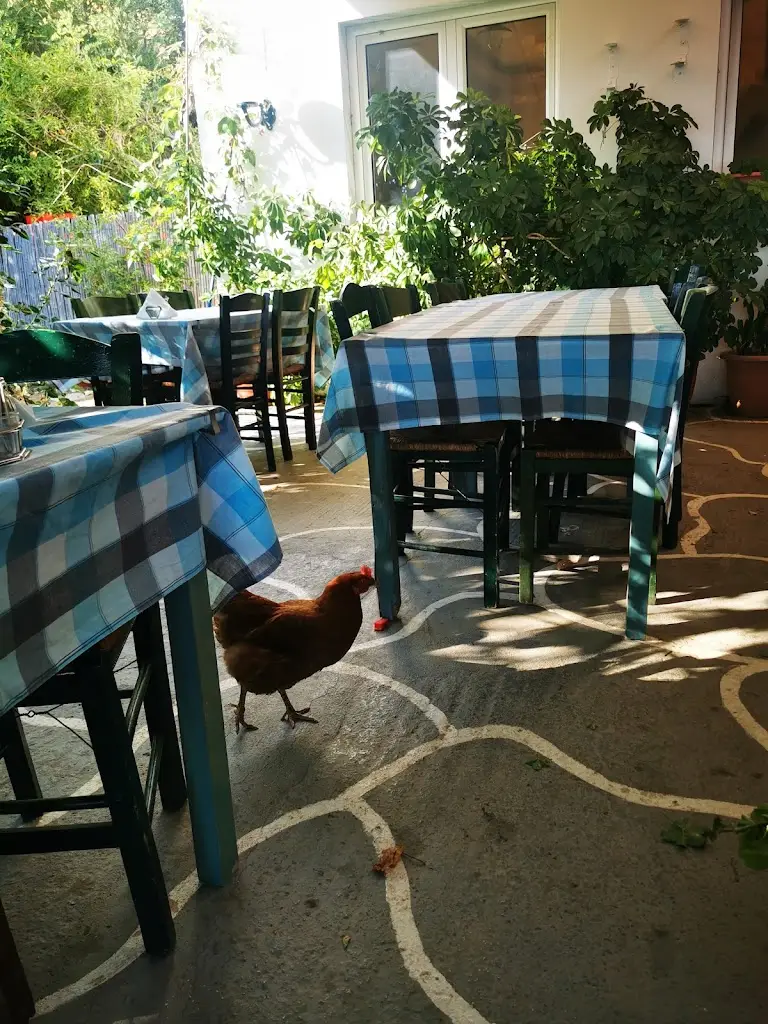 Dan Lucian_Akrogiali Taverna_Kamariótissa_Bewertung