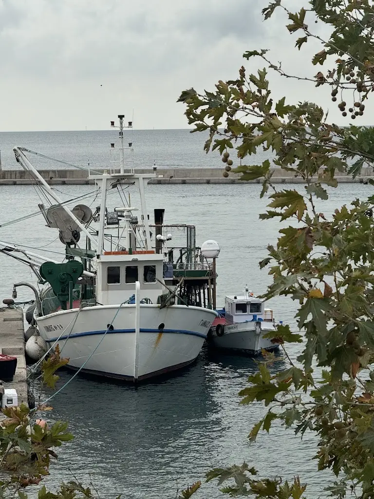 Ψαροταβέρνα ΛΙΜΑΝΑΚΙ_Kamariótissa_slider_image_2