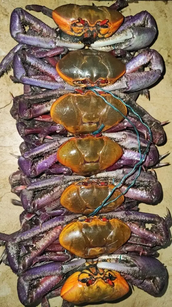 Menu_Γαία Καφεποτείον_Agios Dimítrios Kropiás_image_8