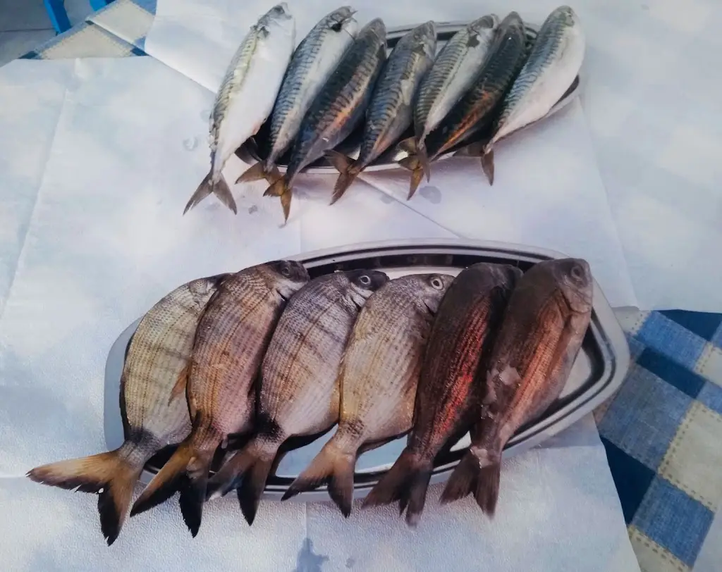 Menu_ΤΟ ΤΕΜΠΕΛΑΔΙΚΟ_Kalampáki_imagen_7