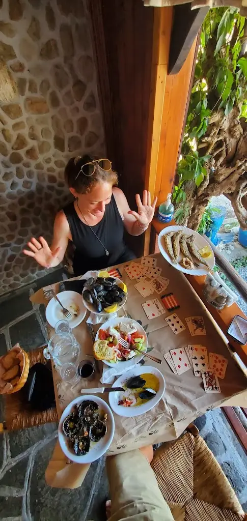 Nora Dunn (The Professional Hobo)_Naypigeion_Kavála_Bewertung