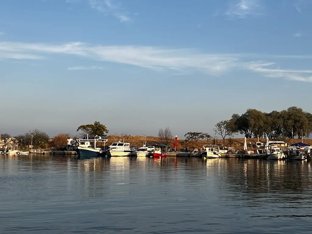 Bogdan Ranguelov_Taverna Epinio Seafood Alchemist_Kavála_review