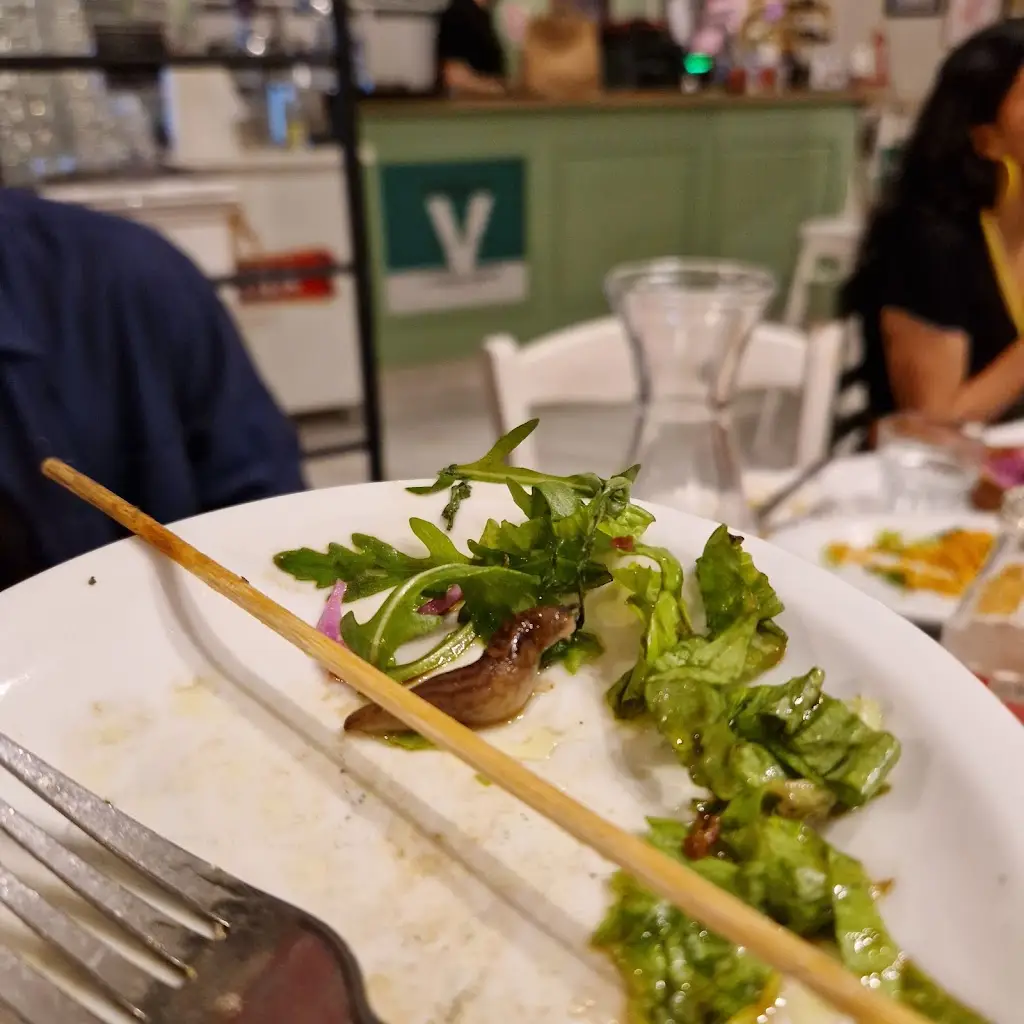 Teodor Corhana_Ρεφενέ_Komotiní_Bewertung