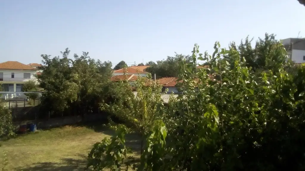 Καφέ Ψησταριά 