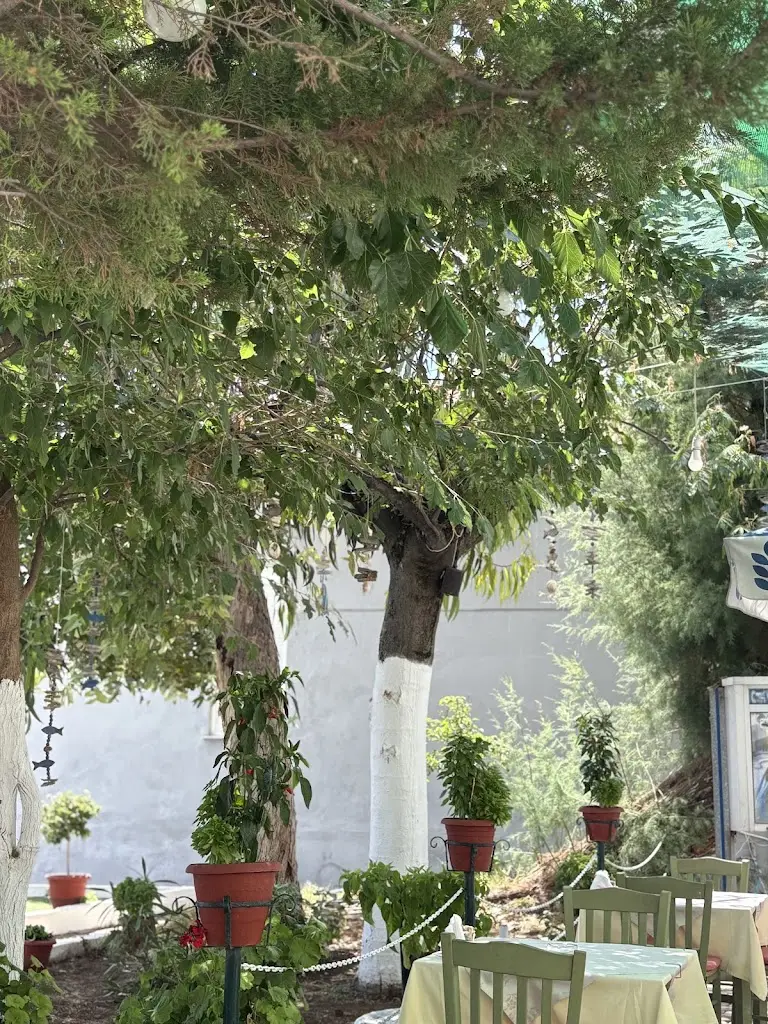 Emil Pop_Restaurant Dionisos_Limenária_Bewertung