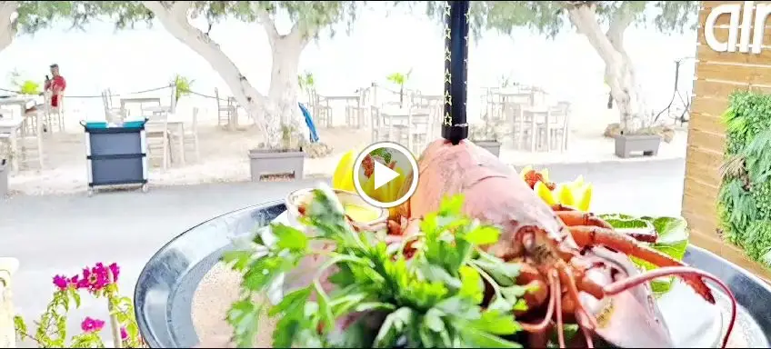 almyrikia Fish Tavern Cafe Bar_Limenária_slider_image_2