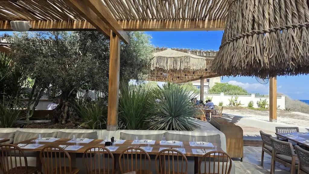 Misirlou_Lesbos_slider_image_3