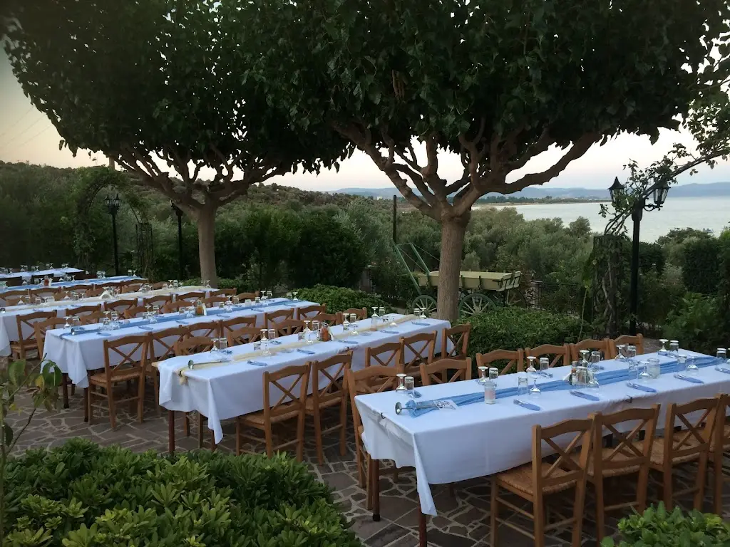 Malathra Restaurant Restaurant in Lesbos