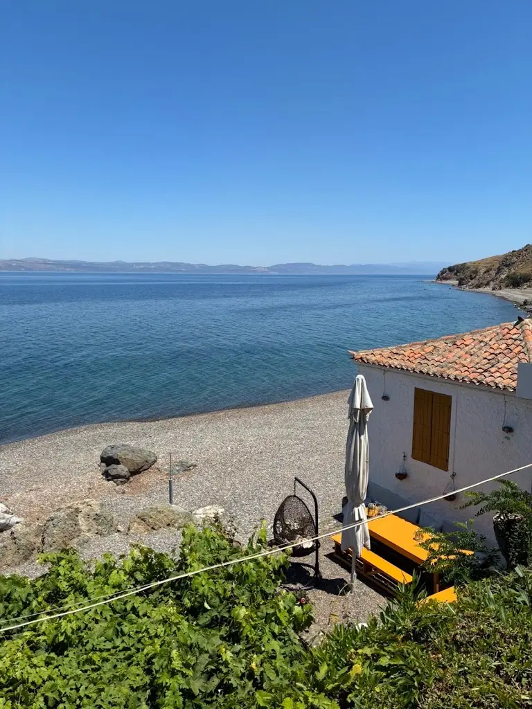 Youmailtocarlos_Golden Beach Restaurant_Lesbos_review