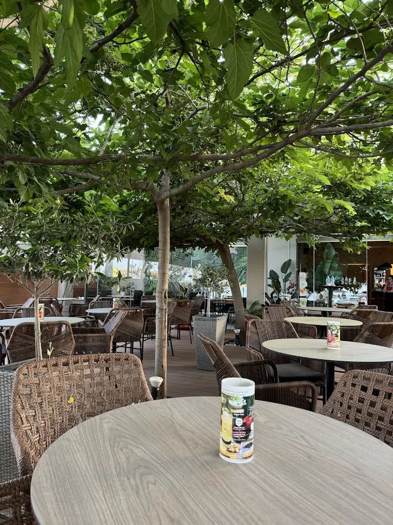 Αλάτι & Ρίγανη Restaurant in Néa Iraklítsa