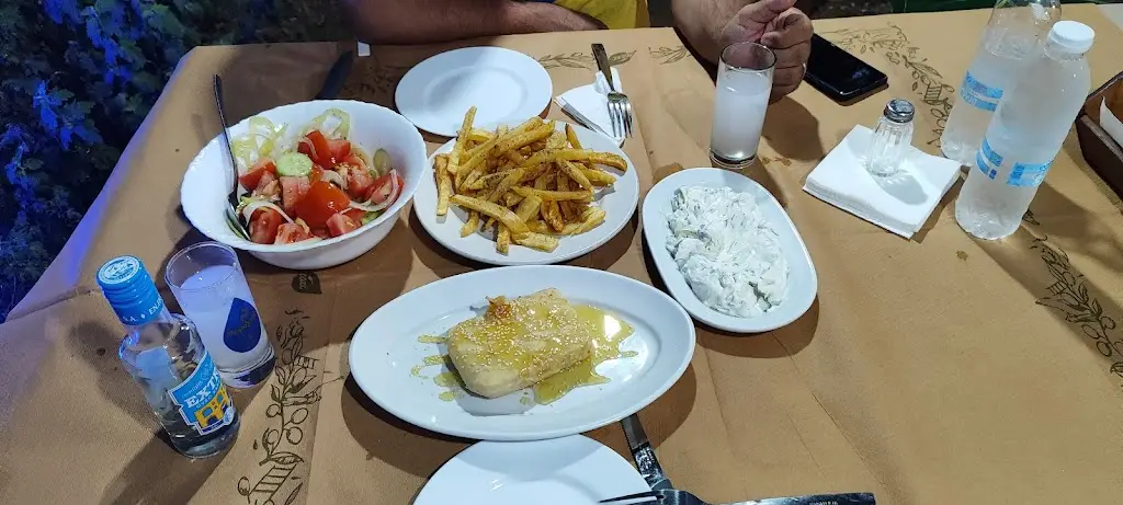 Elif Karayüksel_Το Ουζάκι της 