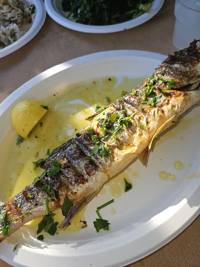 Panagiota Topouzi_Agricultural fishing cooperative Keramoti_Néa Karyá_reseña