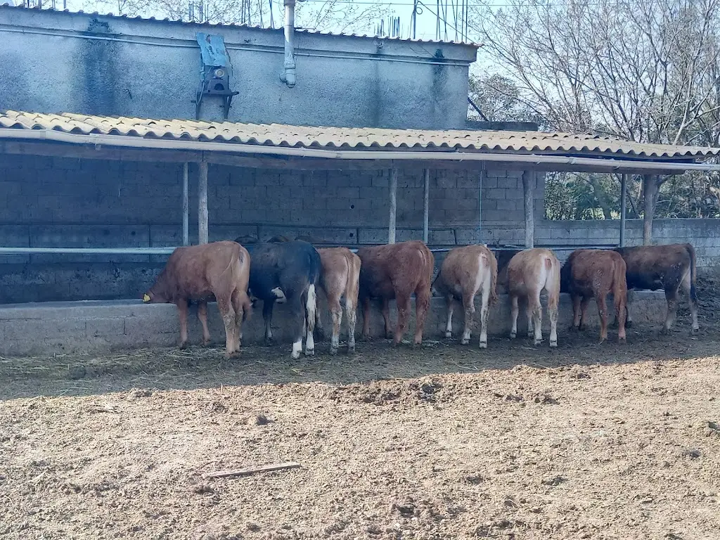 Cafe Restaurant Patron_Néa Karyá_slider_image_1