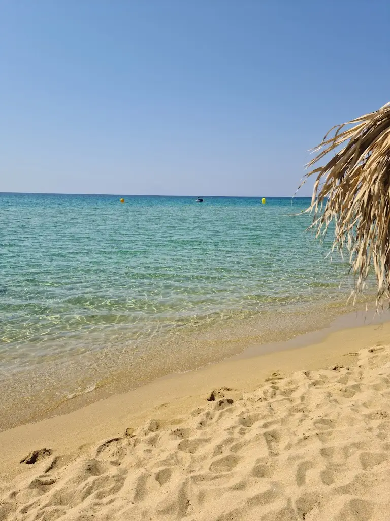 Nea Peramos beach Restaurant in Néa Péramos