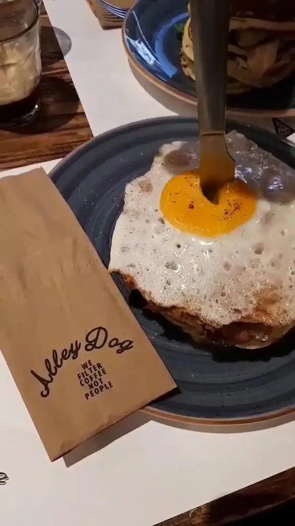 Alley dog_Mytilene_slider_image_2