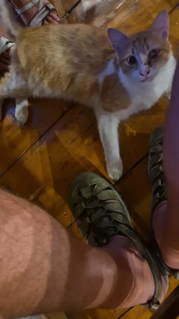 Apánkio_Mytilene_slider_image_2