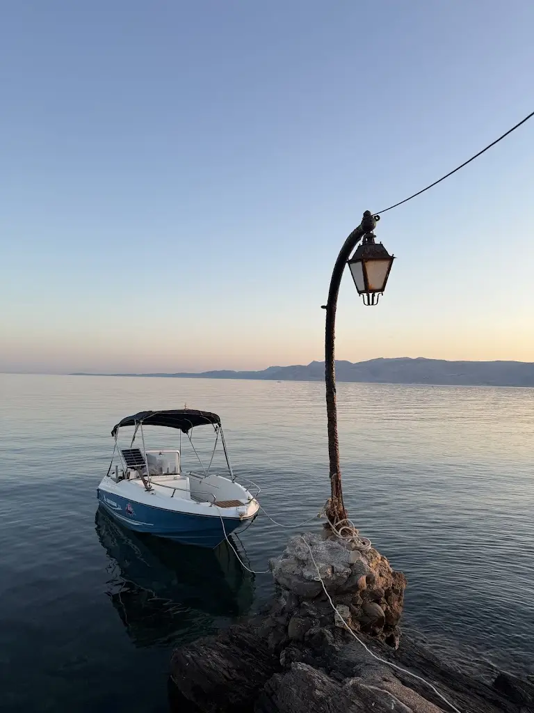 amanda z_Restaurant - Cafe 